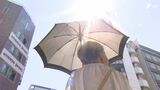 朝から強い日差しで猛暑日に 浜松で35℃、静岡で34℃予想 熱中症に警戒必要 | 静岡のニュース | SBSNEWS | 静岡放送