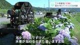 「田舎の風景、落ち着きますよね」アジサイと水車の共演 二十四節気『芒種(ぼうしゅ)』 | 高知のニュース・天気|KUTV NEWS | KUTVテレビ高知