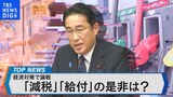 岸田内閣の経済対策を検証～物価対策に減税どれだけ有効？～【Bizスクエア】|TBS NEWS DIG