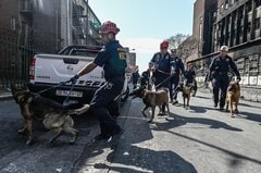 探知犬不足、南アの税収に打撃－関税徴収の機会逸失は年間41億円| TBS CROSS DIG with Bloomberg