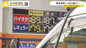 「ガソリン10円引き下げ」物価高対策　嬉しい声も… ガソリンスタンド店長は「10円では少ない」 51年前から続く“暫定税率”廃止はいつ実現するのか？【news23】|TBS NEWS DIG
