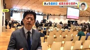 成果文書を採択へ　核兵器禁止条約締約国会議 最終日　|　RCC NEWS | 広島ニュース | RCC中国放送