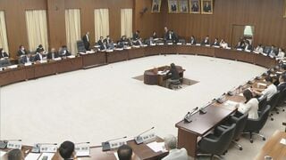衆院憲法審査会　参議院の「合区」テーマに集中討議　自民・国民・参政が憲法改正による合区の解消に前向きな姿勢示す| TBS CROSS DIG with Bloomberg