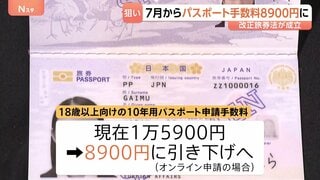 パスポート申請手数料7月から大幅引き下げへ　他国に比べて日本人の保有率が著しく低く取得を後押ししたい考え　改正旅券法成立| TBS CROSS DIG with Bloomberg