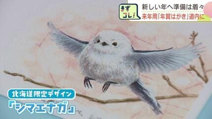 新年の準備着々 2026年用「年賀はがき」約80万枚が到着 干支の午に