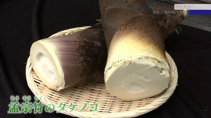 出荷停止が解け、16年ぶりに味わえるこの季節の旬の味 孟宗竹の