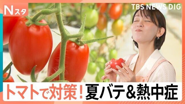 熱中症対策は「トマトに塩」農家直伝! 夏バテ&熱中症対策でトマトに注目 建設現場では差し入れにも【Nスタ】|TBS NEWS DIG