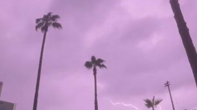 台風15号が愛媛に接近 県内ではまとまった雨が降り、雷の被害相次ぐ|TBS NEWS DIG