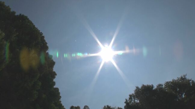 東日本～沖縄・奄美で今後1か月程度は高温状態続く見込み　引き続き熱中症に十分注意を　気象庁|TBS NEWS DIG