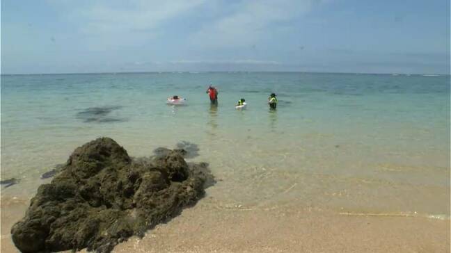 暑い　梅雨の晴れ間　奄美では海水浴楽しむ観光客も　鹿児島|TBS NEWS DIG