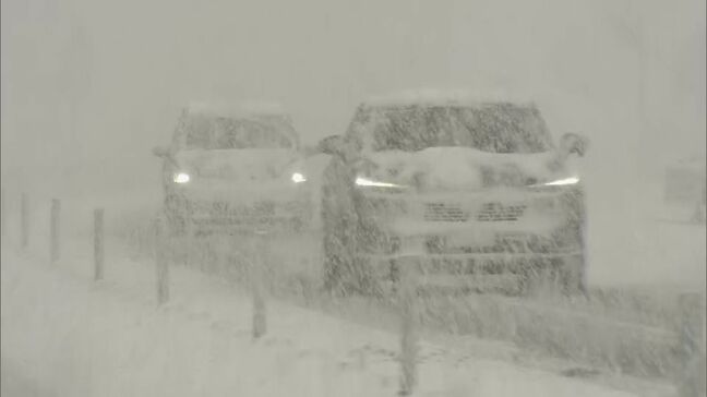 【大雪情報】東海地方 12日にかけて大雪のおそれ 岐阜県の平地や愛知県でも 交通の乱れに警戒|TBS NEWS DIG