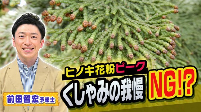ヒノキ花粉シーズン真っ只中！くしゃみをガマンすると危険？医師「くしゃみを無理におさえると別の病気につながるケースも」【MBSお天気通信】|TBS NEWS DIG