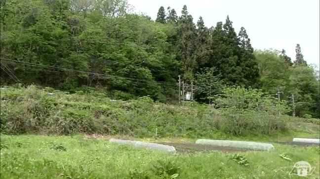 「保育園」や「小学校」近くの林でクマ1頭の目撃情報　青森県八戸市|TBS NEWS DIG