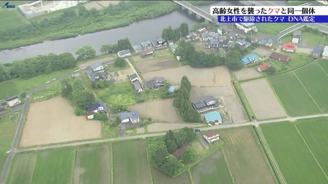 11日に駆除されたクマ 高齢女性を襲い死亡させたクマと同一個体と特定 岩手・北上市|TBS NEWS DIG