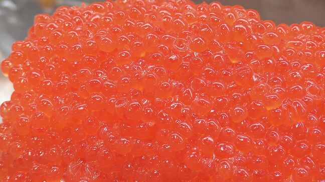 ウニの食べ比べ弁当に濃厚チーズケーキ…おいしいもの勢ぞろい「春の北海道展」福島・郡山市|TBS NEWS DIG