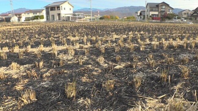 遺体は90代男性か 田んぼの枯れ草火災現場で見つかる 野焼きに巻き込まれた可能性 山梨・甲斐市|TBS NEWS DIG