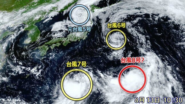 【台風情報】異例！高気圧の圏内で台風続々発生　台風７号に続き台風８号のたまごも|TBS NEWS DIG