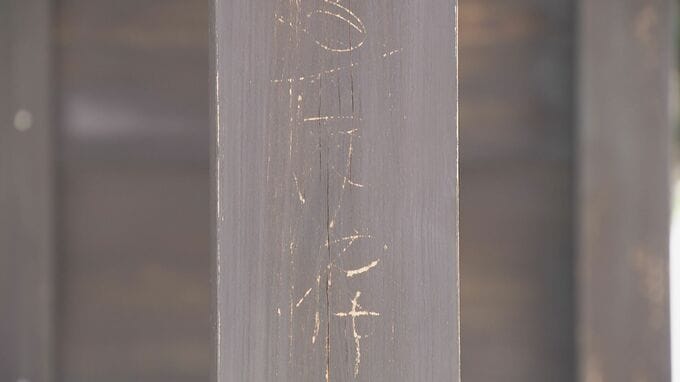 名古屋城の文化財を保存する施設の柱に“文字のような落書き” 何かで削るように… 警備員が発見|TBS NEWS DIG