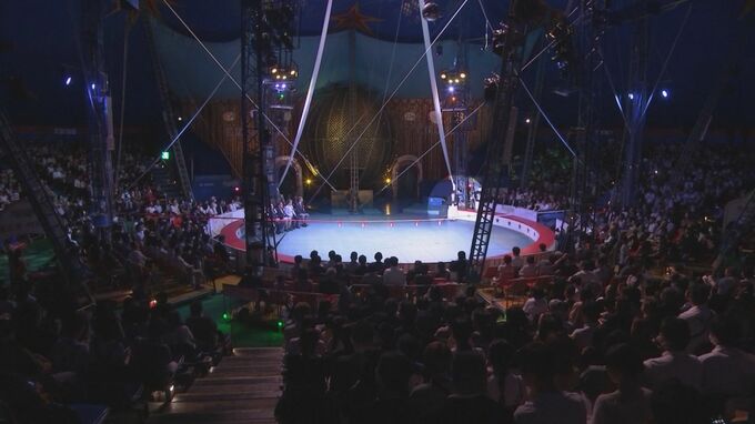 ８年ぶりに公演　木下大サーカス始まる　|　MRTニュース ｜ ＭＲＴ宮崎放送