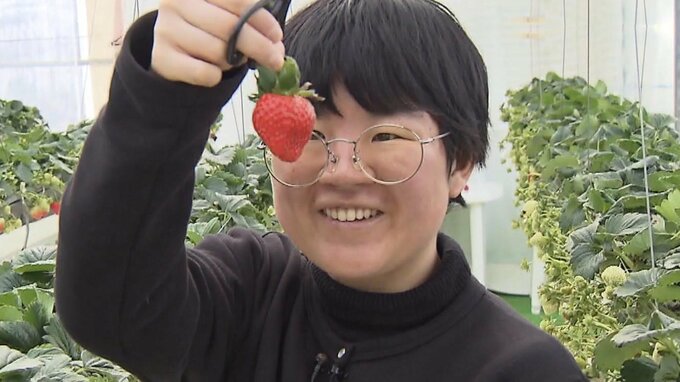 【多様化するいちご狩り】食べ放題にスイーツビュッフェをつけても農家が赤字にならないワケ　「夜限定」や「時間無制限」など特別な体験にインバウンドも熱視線|TBS NEWS DIG