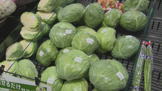 1玉980円から驚異的な価格から10日…キャベツ今いくら？ブロッコリーも「大変高くなっています」なぜ？いつまで続く？　|　BSSニュース | BSS山陰放送