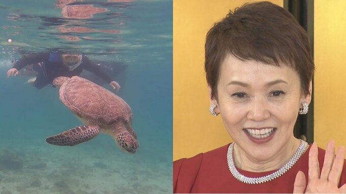 【大竹しのぶ】「海亀と泳ぐ」娘・IMALUさんが住む奄美大島で癒やしの時　「自然に囲まれた生活はなんて素敵」|TBS NEWS DIG