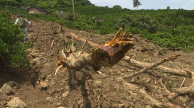 離島に残された大雨の爪痕　３度目土砂崩れ被害に「またか…」　かんきつ農家の悲痛な訴え　|　愛媛のニュース - Nスタえひめ｜あいテレビは6チャンネル