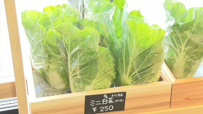 中心市街地の老舗店舗跡に「野菜レストラン」オープン　地元農家直送の 新鮮野菜も販売　　|　BSSニュース | BSS山陰放送