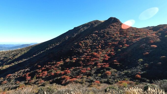 星生山で単独登山中の女性が一時遭難　胸を骨折する大けがも命に別状なし　大分　|　大分のニュース｜OBS NEWS｜大分放送