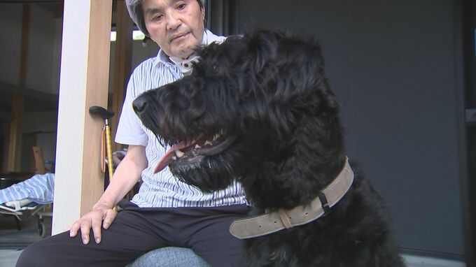 難病抱えコロナに感染、気管切開…「元気もらって、生きないけんなと思う」　心の支えになった「セラピードッグ」とは？　|　BSSニュース | BSS山陰放送