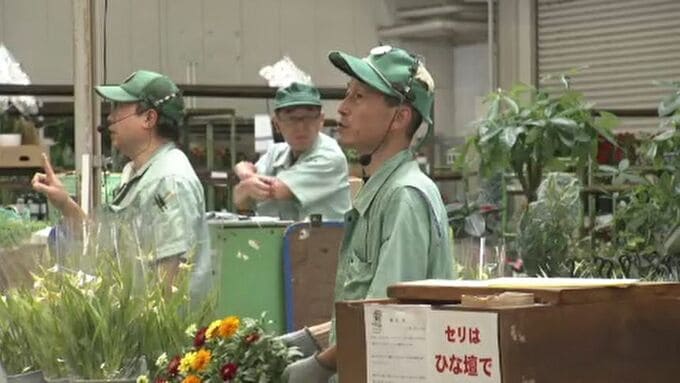 全国でも珍しい公設花き市場を親子で見学 金沢市　|　石川県のニュース｜MRO北陸放送