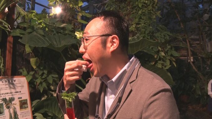 独特な食文化・伝統食を付加価値に　富裕層向け “美食観光” ガストロノミーツーリズムの実証事業　本部町　|　沖縄のニュース｜RBC 琉球放送