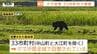 今年県内のクマ目撃“33市町村”で確認　最多は鶴岡市　きょうも出没多数　今年すでに5人が襲われ厳重警戒続く（山形）　|　山形のニュース│TUYテレビユー山形