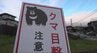 長野県内で続くクマの出没　岡谷市では中学校近くで目撃　集団登校などの対応　塩尻市木曽平沢では2頭が出没　|　SBC NEWS | 長野のニュース | SBC信越放送