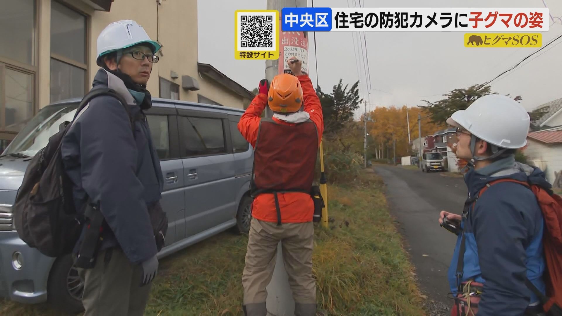 札幌市の住宅街で子グマの目撃が相次ぐ 中央区では体長1mほどのクマが 