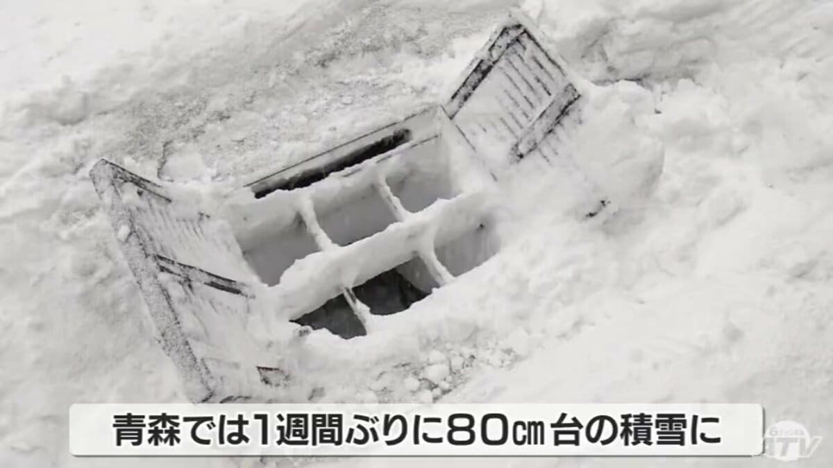 15日にかけて警報級の大雪の可能性も 真冬に逆戻りの青森・積雪1週間