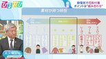 雨のあとは『花粉爆発』に要注意?!静電気で花粉の付着量が増加も ポイントは衣服の“組み合わせ”【ひるおび】|TBS NEWS DIG
