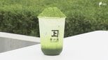 岐路に立つ静岡茶は変われるのか? カギは「グローバルな視点」  将来担う人たちが訴える意識改革の必要性＝静岡|TBS NEWS DIG
