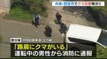 西宮市でクマ目撃情報2件 市道で「1頭歩いているのを見た」高速道路で「路肩にクマがいる」 同一個体の可能性|TBS NEWS DIG