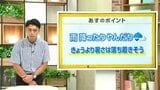 高知の天気 4日 雲広がり雨の降るところも 山岸拓気象予報士が解説|TBS NEWS DIG