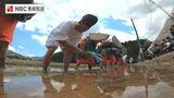 秋の新嘗祭で奉納する宮中献穀米を植える「御田植祭」地元の小学生も参加　長崎県佐世保市　|　長崎のニュース | 天気 | NBC長崎放送