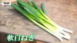 長い時間と手間をかけ収穫! 高校生が地元の食材 "軟白ねぎ" を学ぶ(山形) | 山形のニュース│TUYテレビユー山形