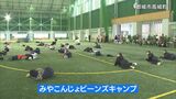 プロ野球選手と一緒にトレーニングを体験　|　MRTニュース ｜ ＭＲＴ宮崎放送