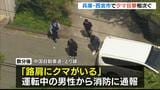 西宮市でクマ目撃情報2件 市道で「1頭歩いているのを見た」高速道路で「路肩にクマがいる」 同一個体の可能性|TBS NEWS DIG