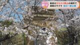 関係者以外立ち入り禁止の配水場で桜が見頃 花見の時期に初の一般公開へ 愛知・豊橋市 | 名古屋・愛知・岐阜・三重のニュース【CBC news】 | CBC web