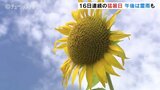 富山は16日連続で35℃以上の猛暑日 午前中は全国で最も高い36.6℃ こまめな水分補給を|TBS NEWS DIG