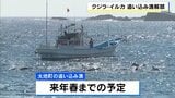 クジラ・イルカの追い込み漁が解禁 和歌山・太地町で約400年続く伝統漁法 | MBSニュース | 関西の最新ニュースを分かりやすく。