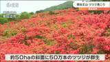 山肌に広がる赤いじゅうたん 宮城・気仙沼市の徳仙丈山のツツジ見ごろ |TBS NEWS DIG