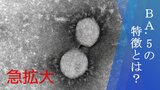 新型コロナ感染者急拡大 オミクロン株「BA.5」の特徴って?|TBS NEWS DIG
