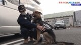 事件の捜査や行方不明者捜索の戦力に 警察署が警察犬に嘱託状を交付 岩手・釜石市|TBS NEWS DIG
